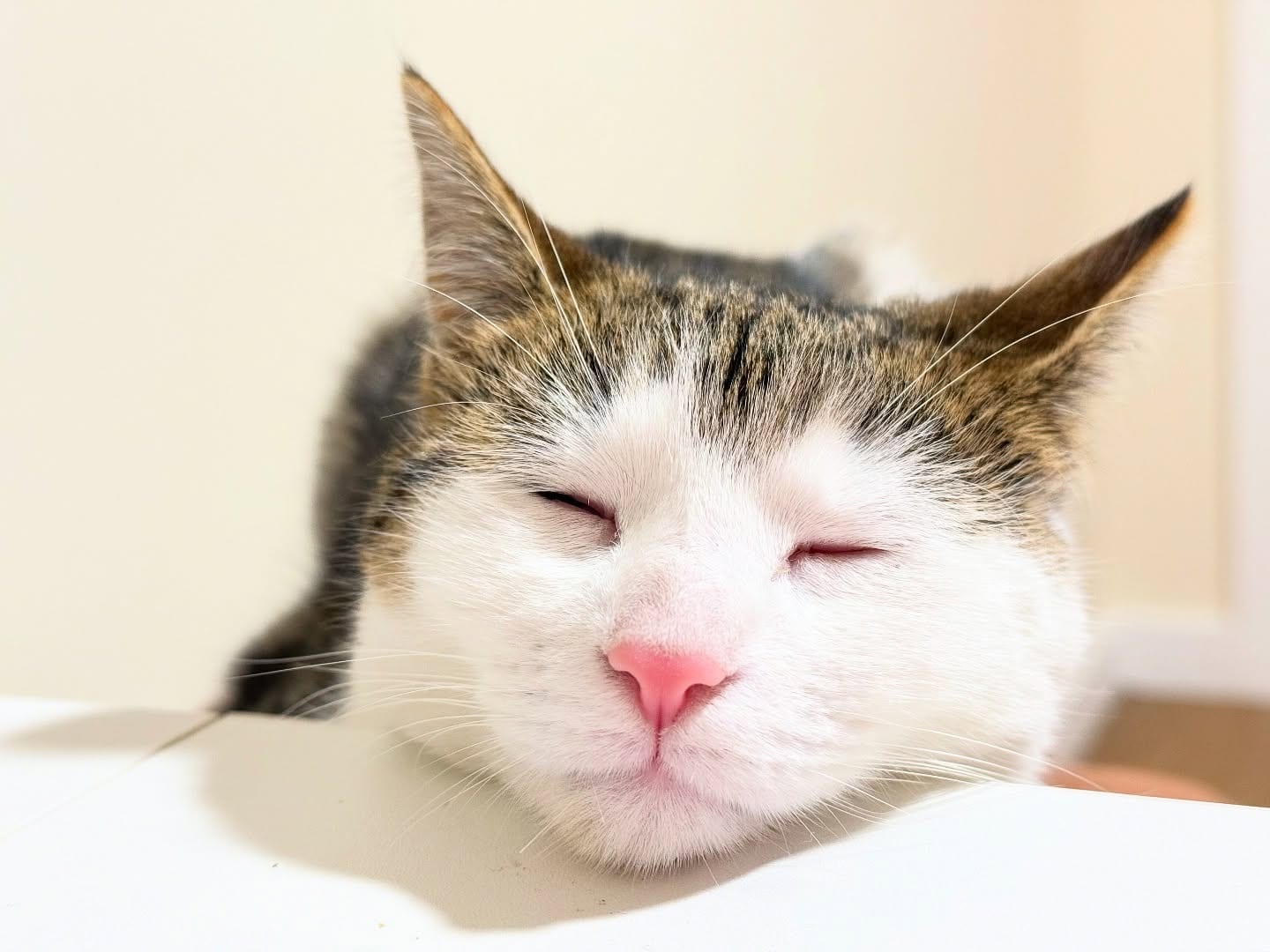 Peak Inner Peace